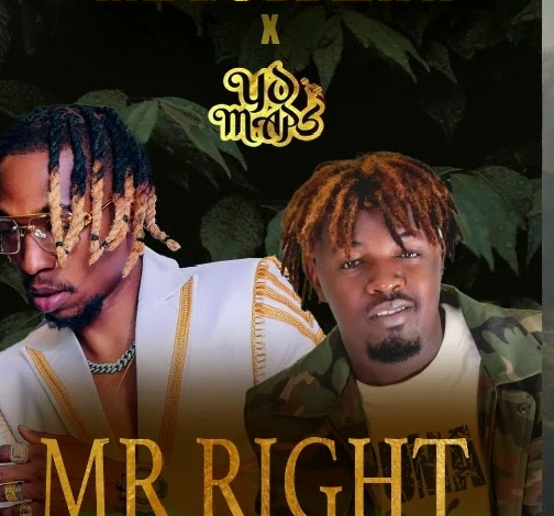 Mr Dove Zayn ft Yo Maps – Mr Right Mp3 Download