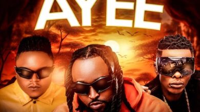 Shenky Ft Jose Chameleone & D Bwoy - Ayee