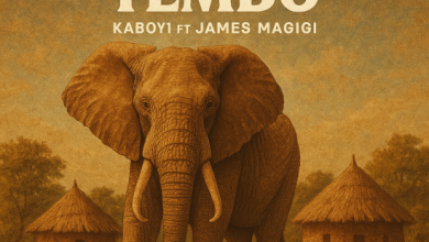 Muzukulu Wa Tembo ft James Magigi - Kaboyi