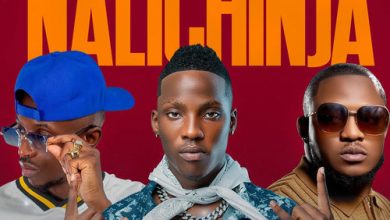 Blood Kid ft Chef 187 & Dizmo – Nalichinja Mp3 Download