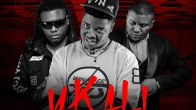Y Cool ft Stevo & Tommy D – Ukali Mp3 Download 