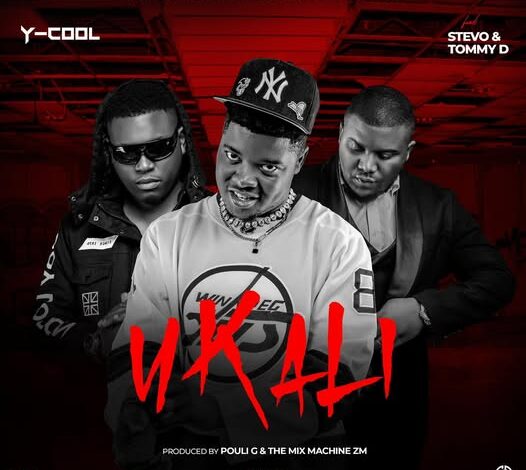 Y Cool ft Stevo & Tommy D – Ukali Mp3 Download 
