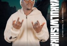 Don Bee - Tefyakulwishikana Mp3 Download 